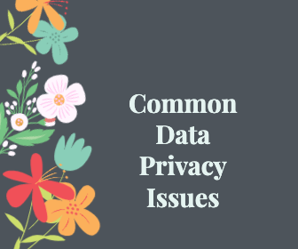 Common Data Privacy Issues in the E-commerce Business