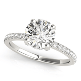 14k White Gold Diamond Engagement Ring with Scalloped Row Band (2 1/4 cttw) - Apalipapa