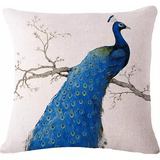 PEACOCK EXOTICA Cushion Covers In Pairs - Apalipapa