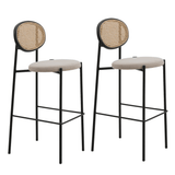 Modern Wicker Bar Stool With Black Steel Frame, Set of 2 - Apalipapa