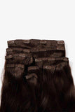 20" 140g #4 Clip-in Hair Extensions Human Hair - Apalipapa